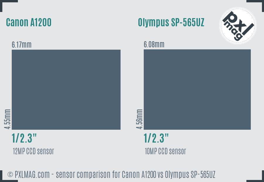 Canon A1200 vs Olympus SP-565UZ sensor size comparison