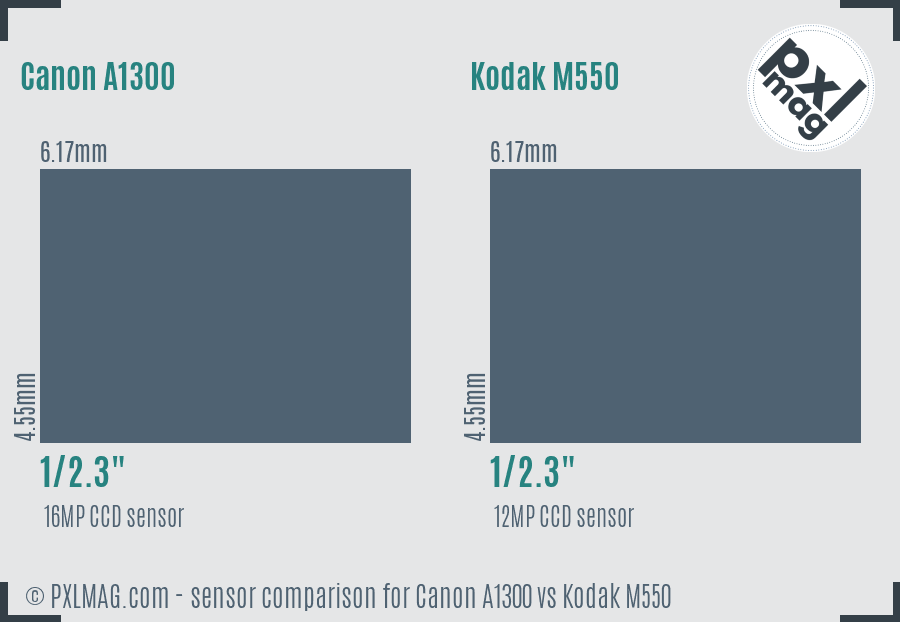 Canon A1300 vs Kodak M550 sensor size comparison
