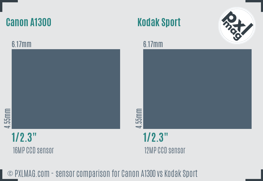 Canon A1300 vs Kodak Sport sensor size comparison