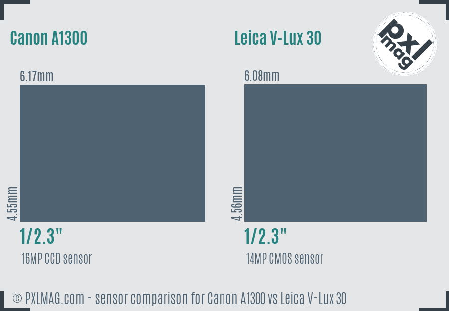 Canon A1300 vs Leica V-Lux 30 sensor size comparison