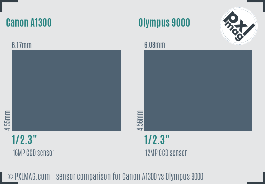 Canon A1300 vs Olympus 9000 sensor size comparison