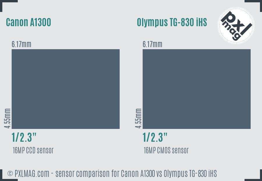 Canon A1300 vs Olympus TG-830 iHS sensor size comparison