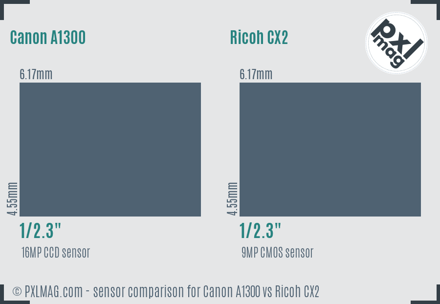 Canon A1300 vs Ricoh CX2 sensor size comparison