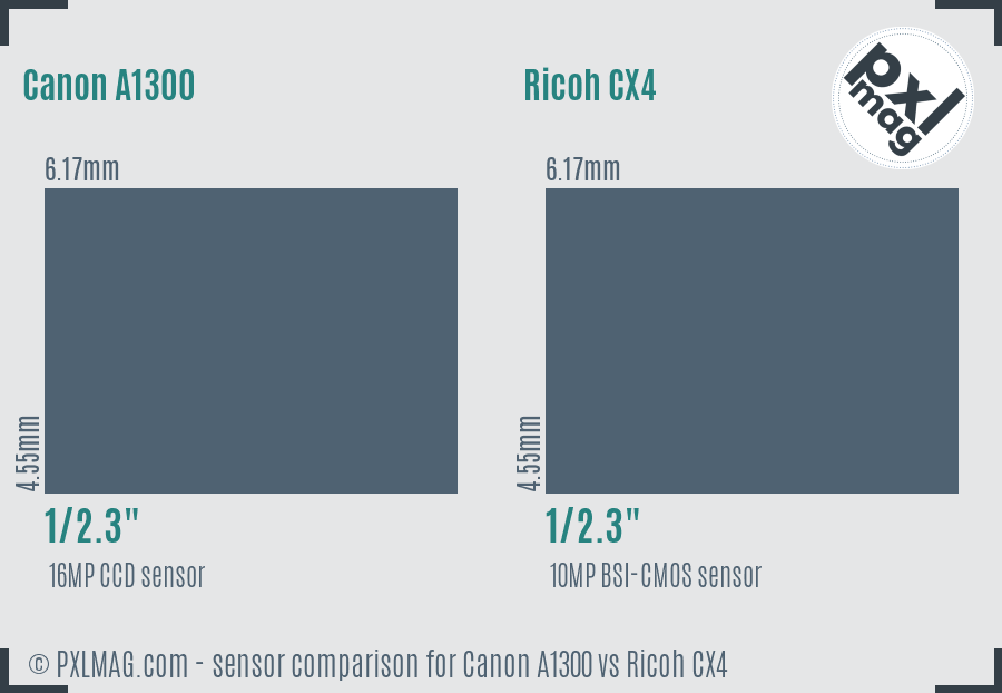 Canon A1300 vs Ricoh CX4 sensor size comparison