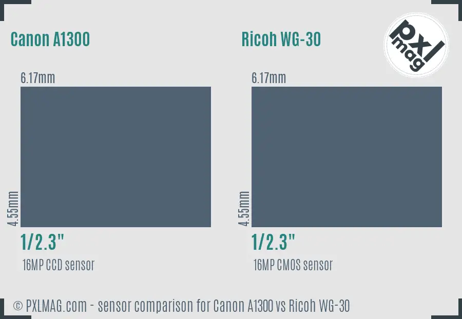 Canon A1300 vs Ricoh WG-30 sensor size comparison