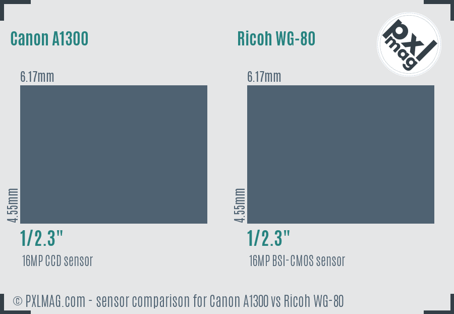 Canon A1300 vs Ricoh WG-80 sensor size comparison