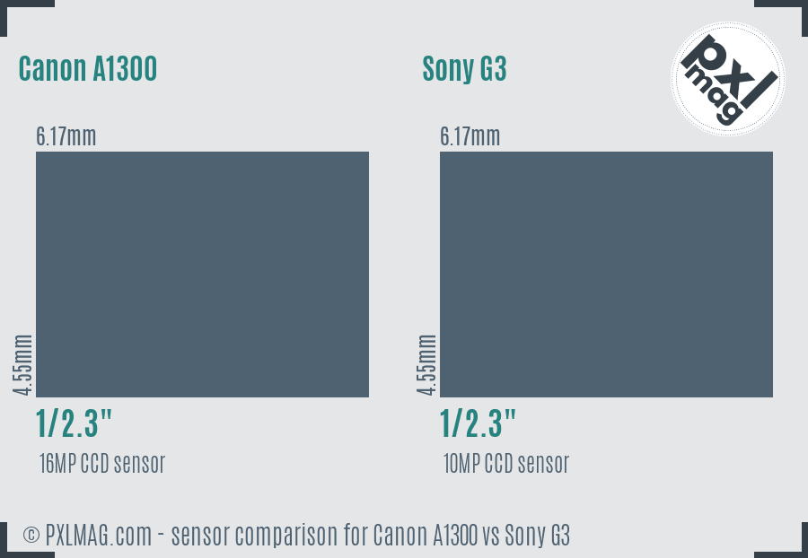 Canon A1300 vs Sony G3 sensor size comparison