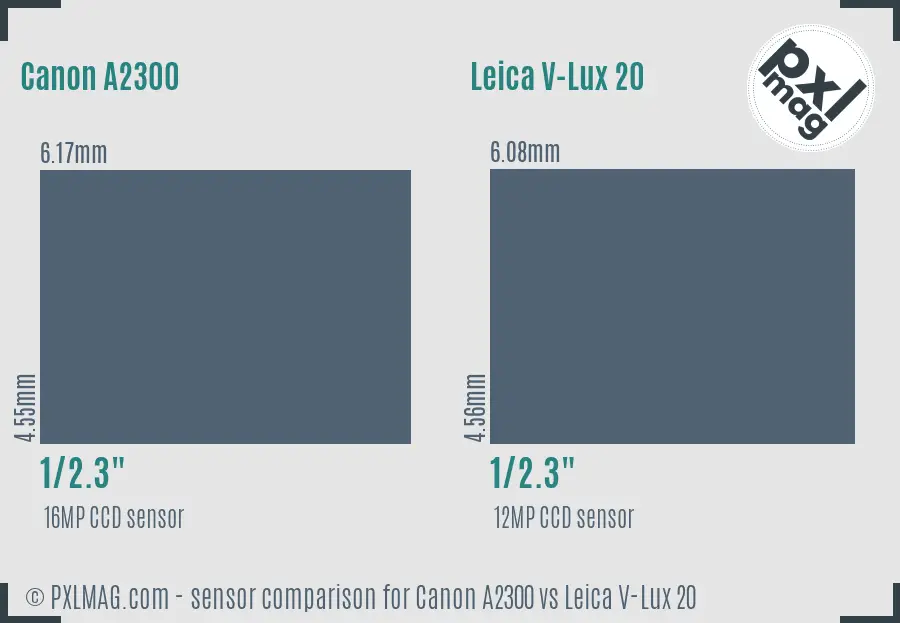 Canon A2300 vs Leica V-Lux 20 sensor size comparison
