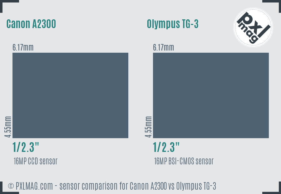 Canon A2300 vs Olympus TG-3 sensor size comparison