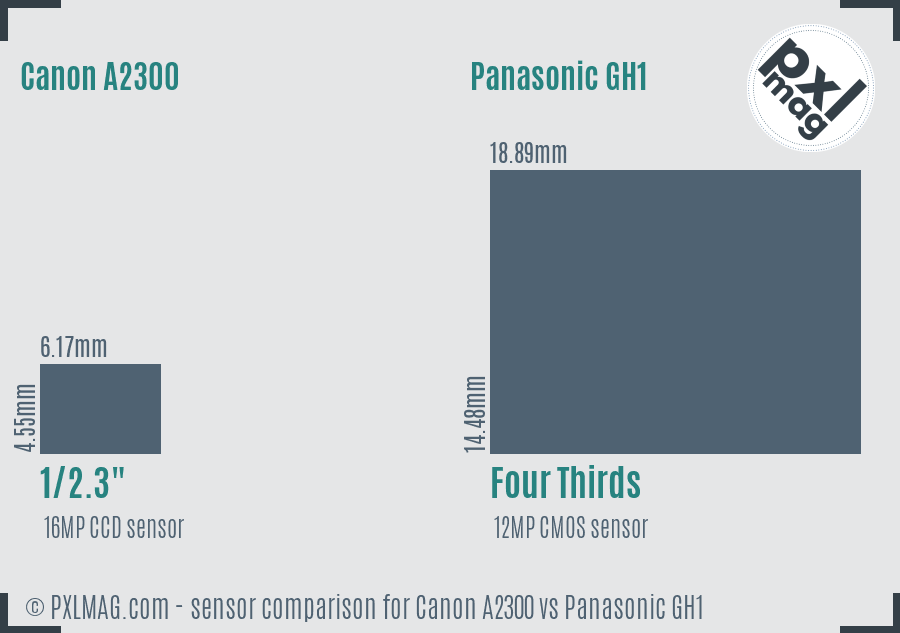 Canon A2300 vs Panasonic GH1 sensor size comparison