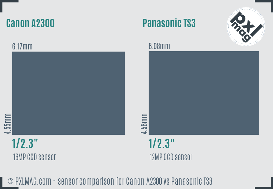 Canon A2300 vs Panasonic TS3 sensor size comparison