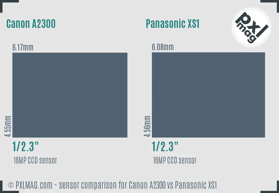 Canon A2300 vs Panasonic XS1 sensor size comparison