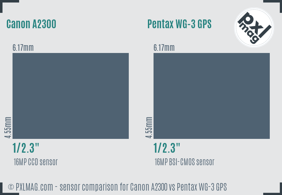 Canon A2300 vs Pentax WG-3 GPS sensor size comparison