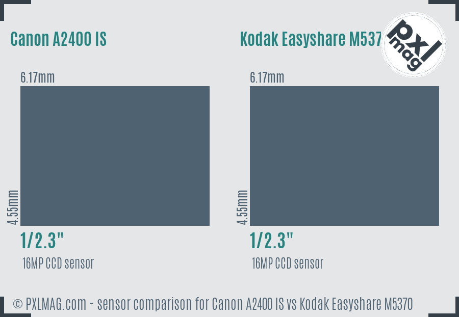 Canon A2400 IS vs Kodak Easyshare M5370 sensor size comparison