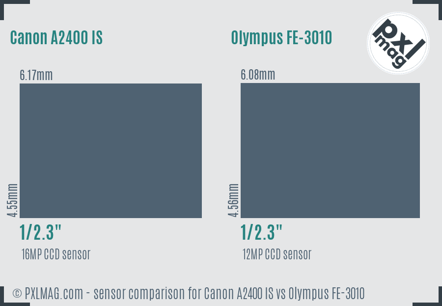 Canon A2400 IS vs Olympus FE-3010 sensor size comparison