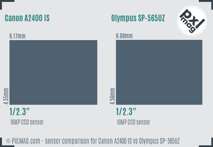 Canon A2400 IS vs Olympus SP-565UZ sensor size comparison