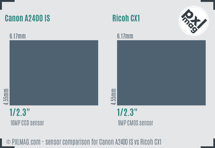 Canon A2400 IS vs Ricoh CX1 sensor size comparison