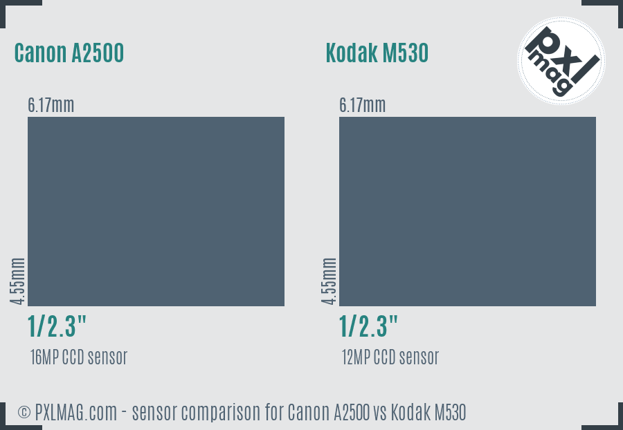 Canon A2500 vs Kodak M530 sensor size comparison