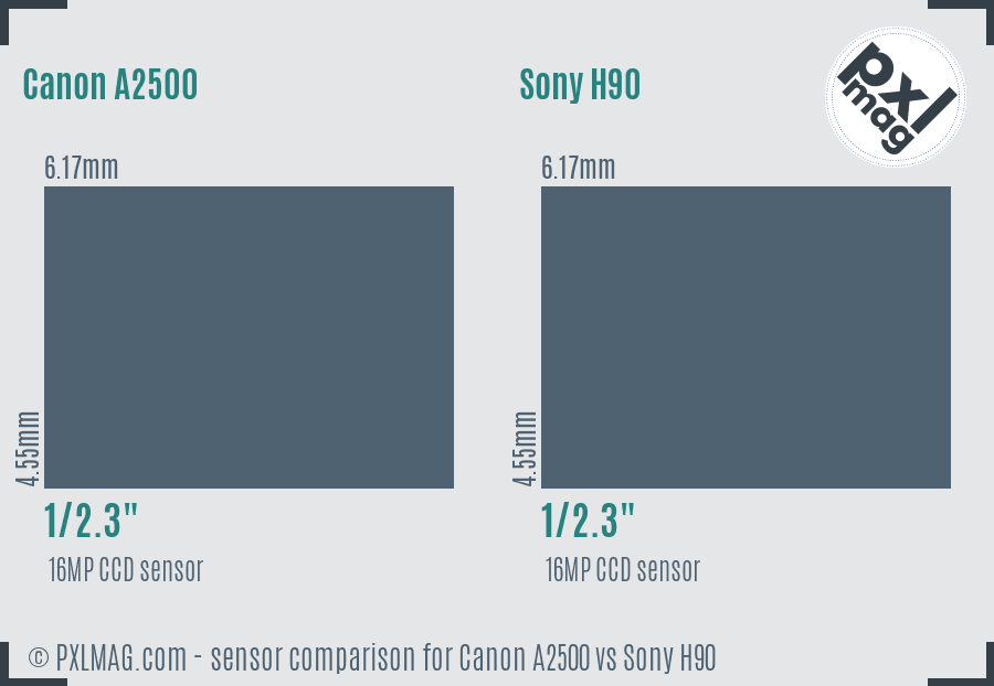 Canon A2500 vs Sony H90 sensor size comparison Canon A2500 vs Sony H90 sensor size comparison