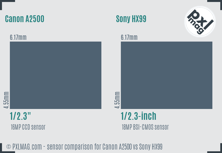 Canon A2500 vs Sony HX99 sensor size comparison