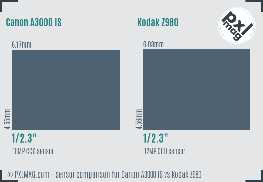 Canon A3000 IS vs Kodak Z980 sensor size comparison