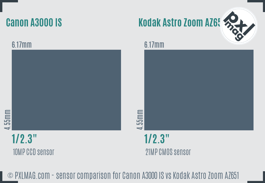 Canon A3000 IS vs Kodak Astro Zoom AZ651 sensor size comparison