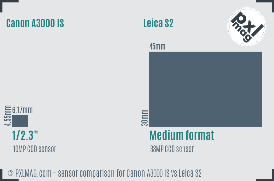 Canon A3000 IS vs Leica S2 sensor size comparison