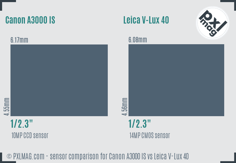 Canon A3000 IS vs Leica V-Lux 40 sensor size comparison
