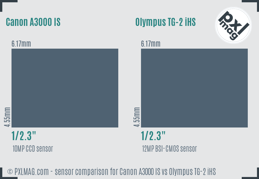 Canon A3000 IS vs Olympus TG-2 iHS sensor size comparison