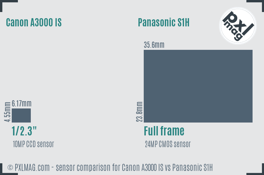 Canon A3000 IS vs Panasonic S1H sensor size comparison