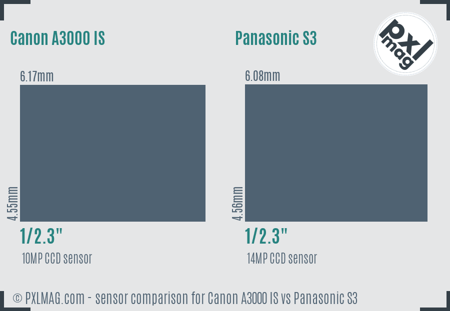 Canon A3000 IS vs Panasonic S3 sensor size comparison