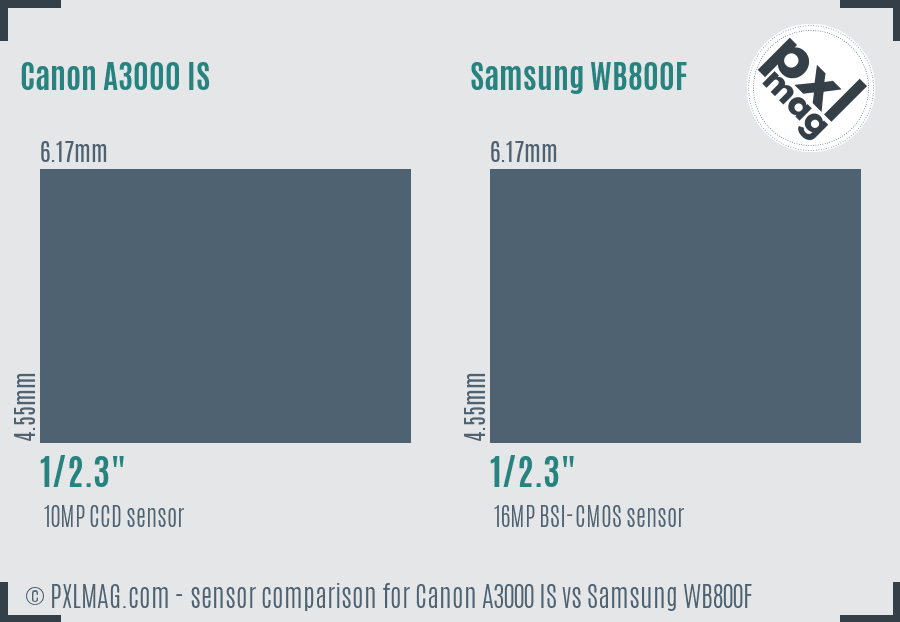 Canon A3000 IS vs Samsung WB800F sensor size comparison