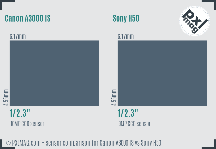 Canon A3000 IS vs Sony H50 sensor size comparison