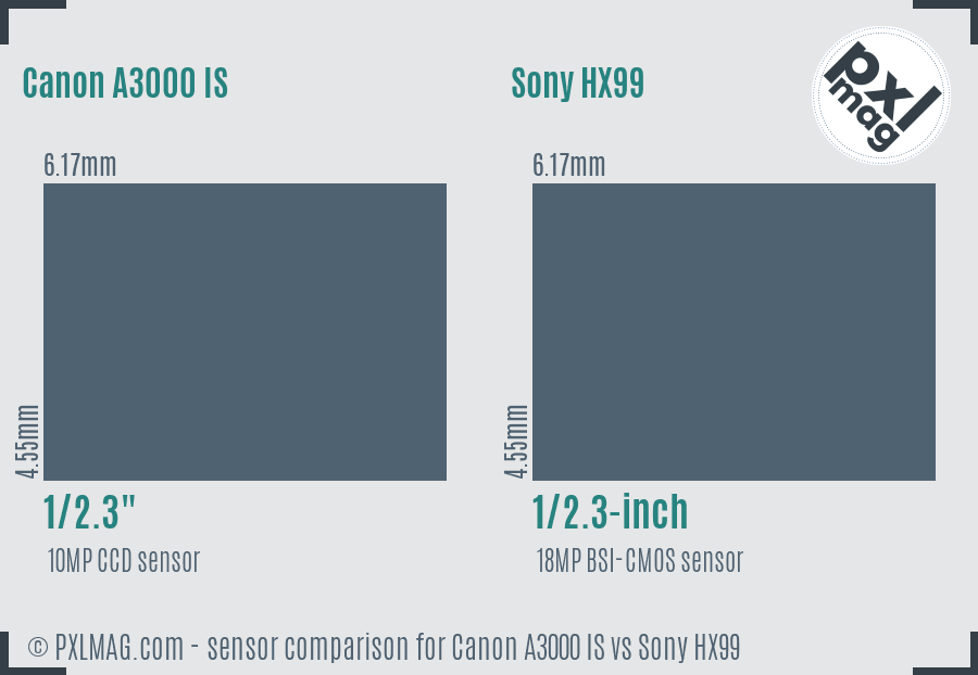 Canon A3000 IS vs Sony HX99 sensor size comparison