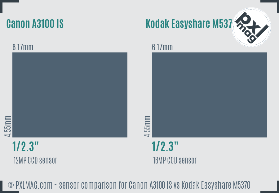 Canon A3100 IS vs Kodak Easyshare M5370 sensor size comparison