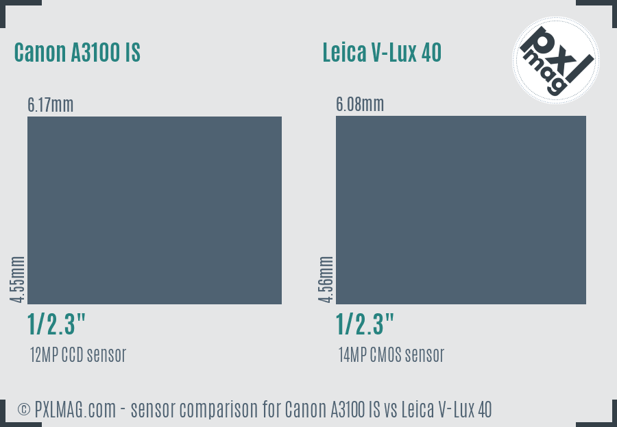 Canon A3100 IS vs Leica V-Lux 40 sensor size comparison