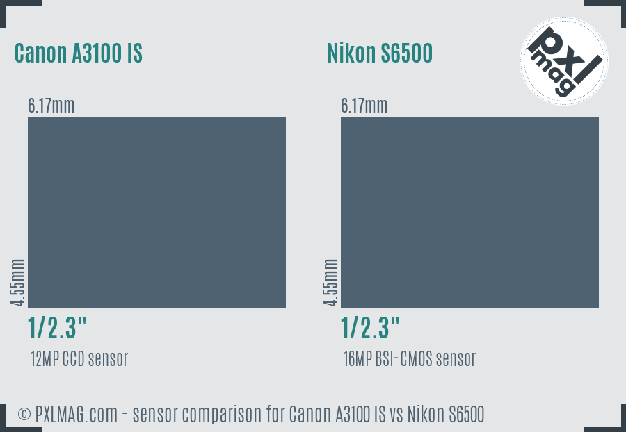 Canon A3100 IS vs Nikon S6500 sensor size comparison