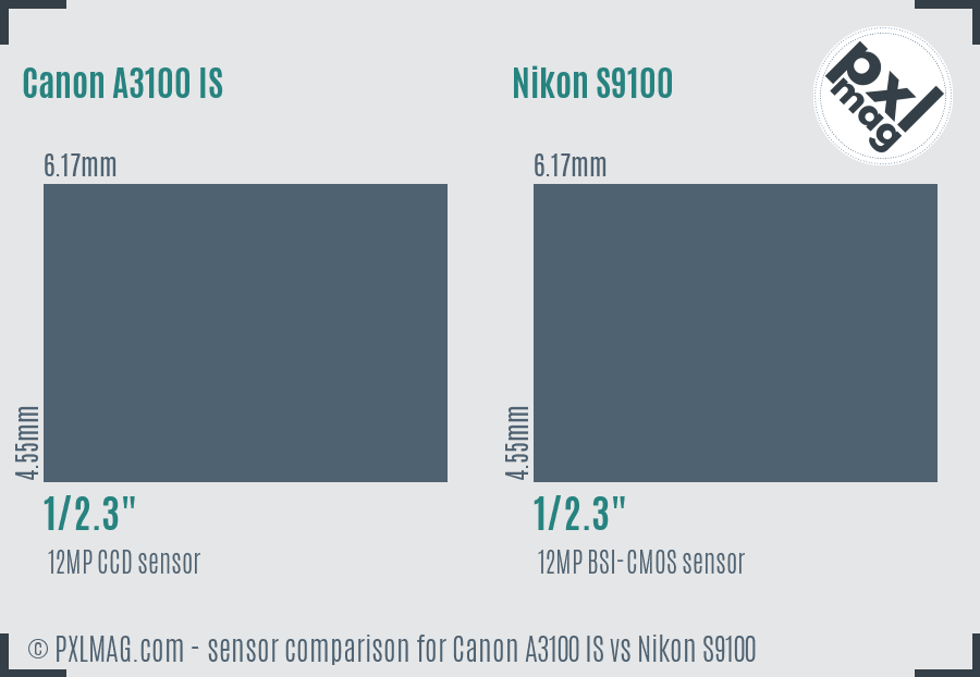 Canon A3100 IS vs Nikon S9100 sensor size comparison