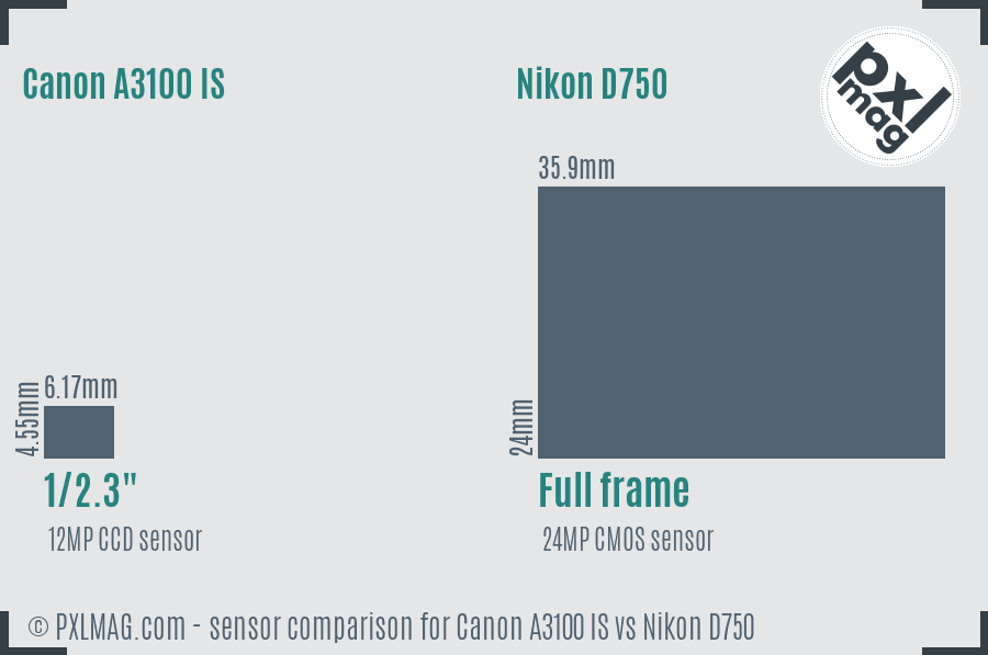 Canon A3100 IS vs Nikon D750 sensor size comparison