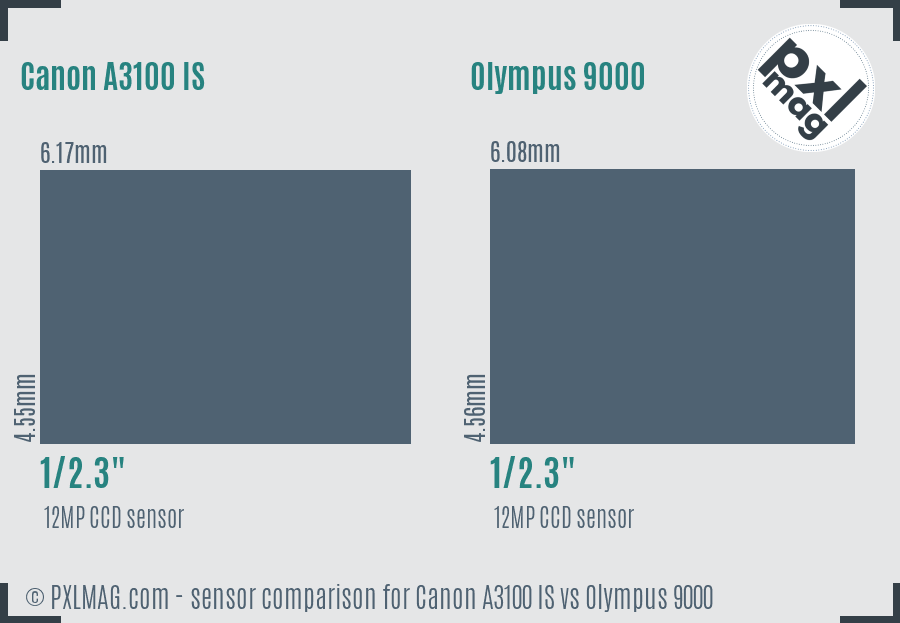 Canon A3100 IS vs Olympus 9000 sensor size comparison