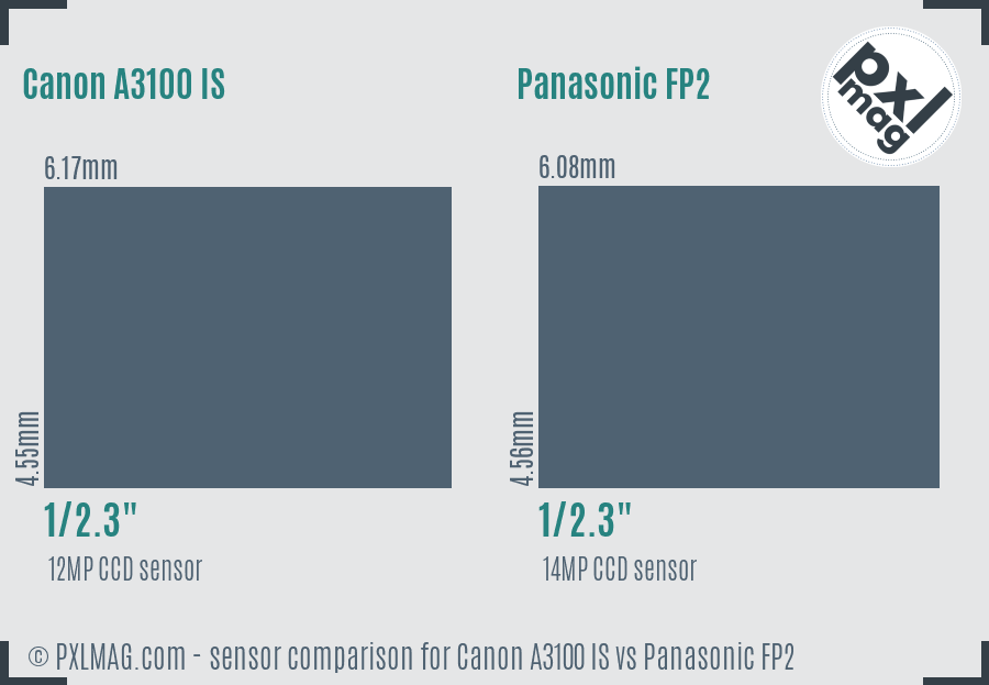 Canon A3100 IS vs Panasonic FP2 sensor size comparison