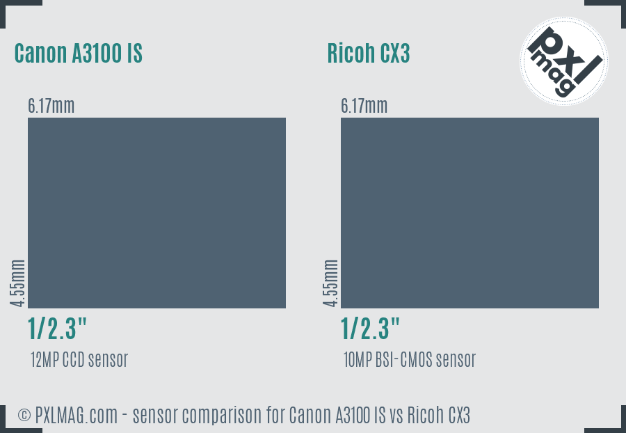 Canon A3100 IS vs Ricoh CX3 sensor size comparison