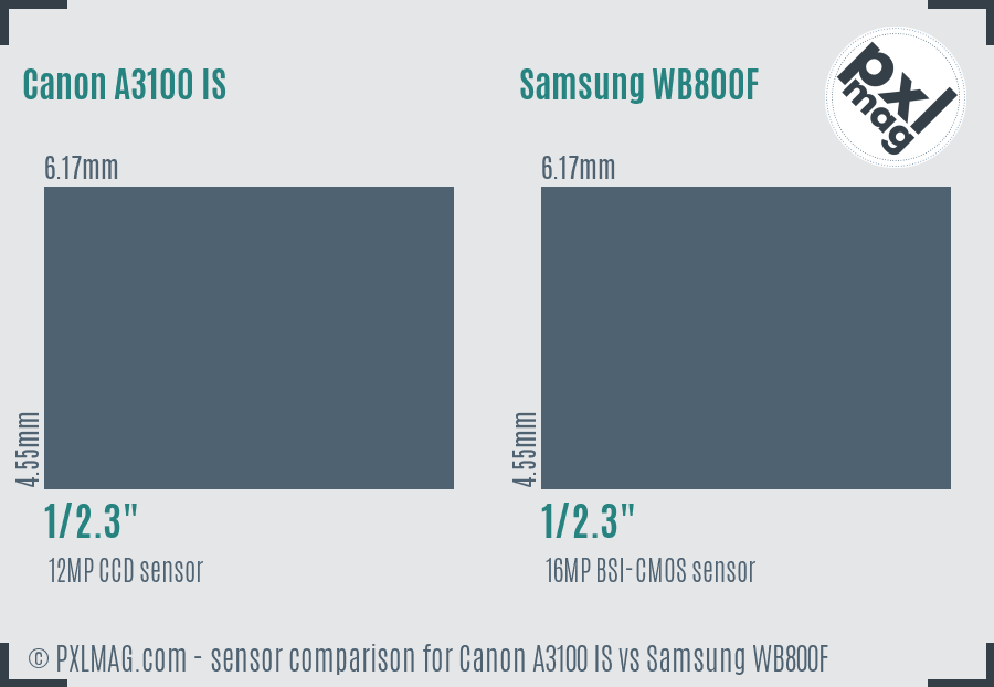 Canon A3100 IS vs Samsung WB800F sensor size comparison