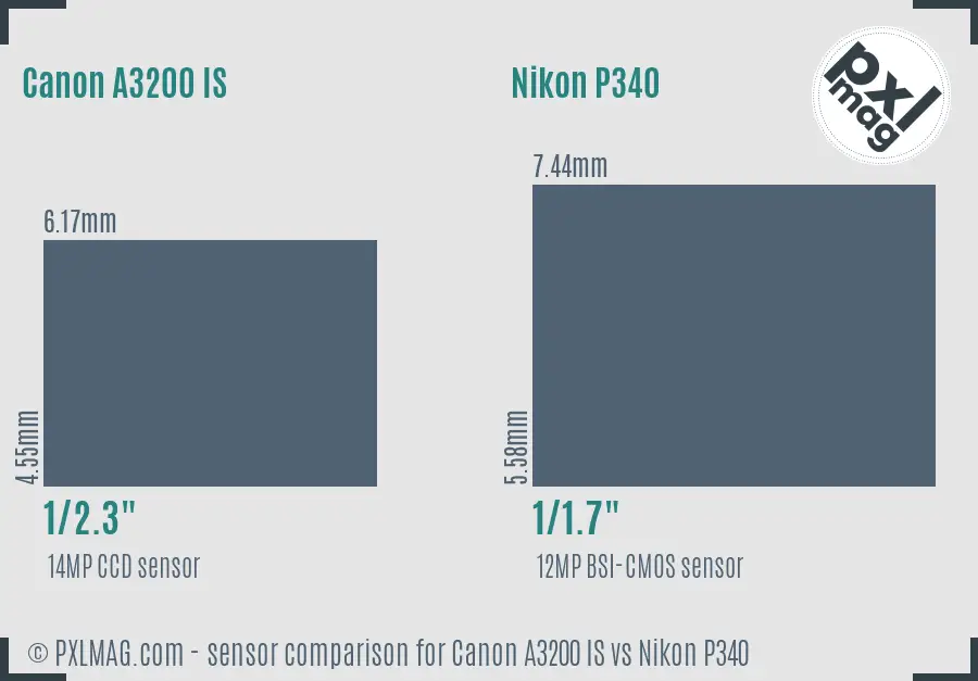 Canon A3200 IS vs Nikon P340 sensor size comparison