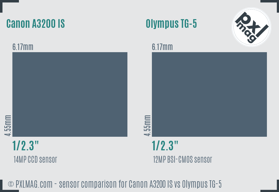 Canon A3200 IS vs Olympus TG-5 sensor size comparison