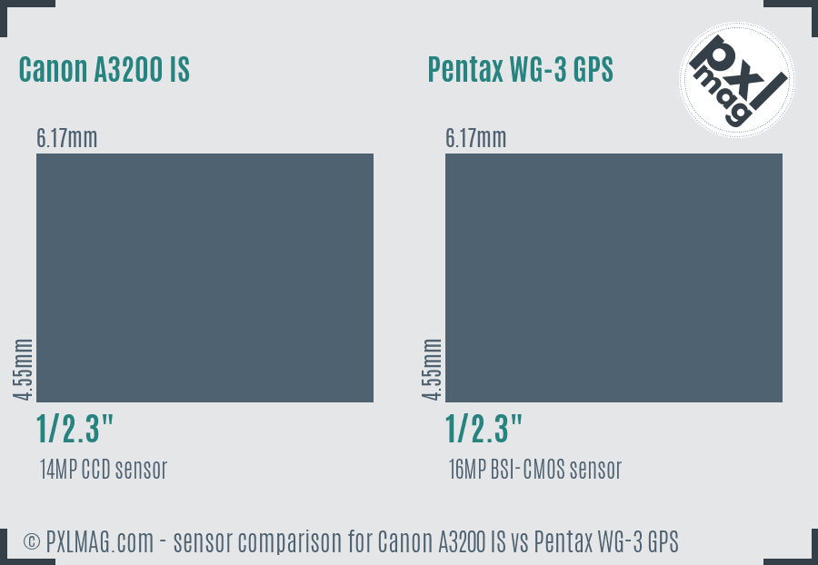 Canon A3200 IS vs Pentax WG-3 GPS sensor size comparison