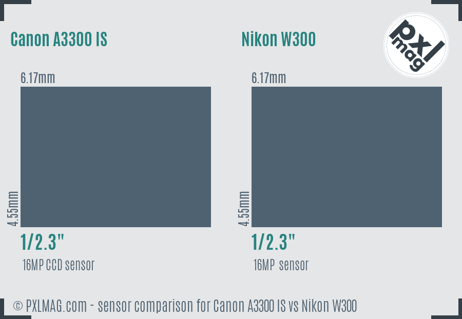 Canon A3300 IS vs Nikon W300 sensor size comparison