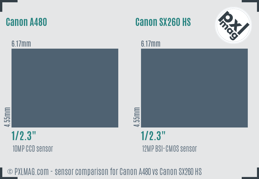 Canon A480 vs Canon SX260 HS sensor size comparison
