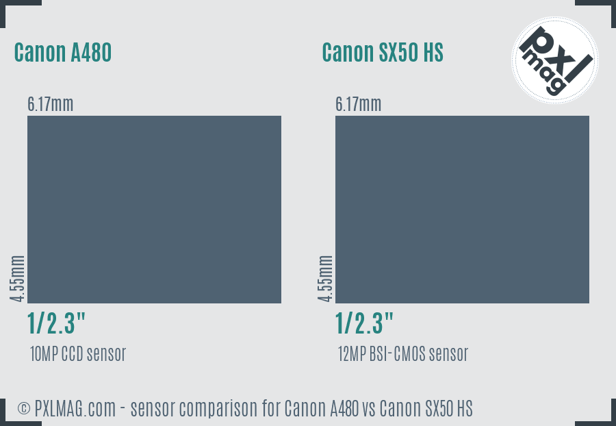 Canon A480 vs Canon SX50 HS sensor size comparison
