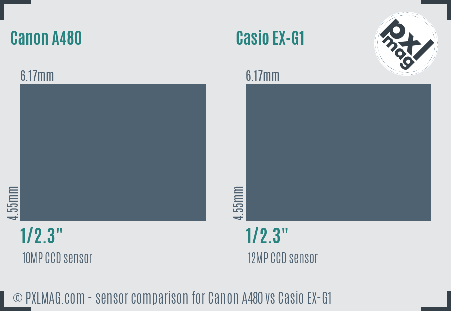 Canon A480 vs Casio EX-G1 sensor size comparison